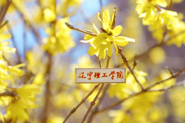 學(xué)